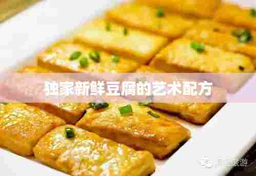 独家新鲜豆腐的艺术配方