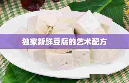 独家新鲜豆腐的艺术配方