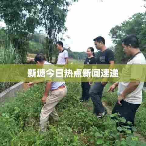 新塘今日热点新闻速递