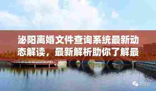 泌阳离婚文件查询系统最新动态解读,最新解析助你了解最新进展