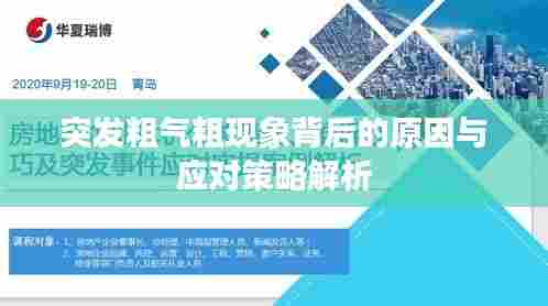 突发粗气粗现象背后的原因与应对策略解析