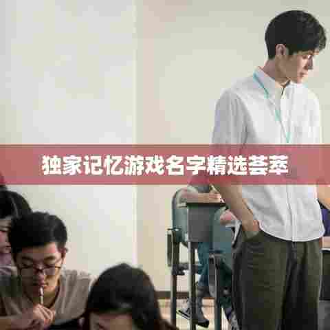独家记忆游戏名字精选荟萃