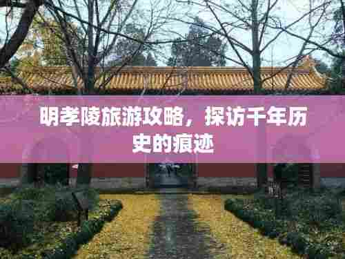 明孝陵旅游攻略,探访千年历史的痕迹