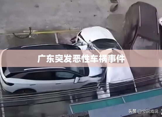 广东突发恶性车祸事件