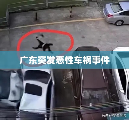 广东突发恶性车祸事件