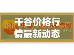干谷价格行情最新动态报告揭秘!今日市场走势分析。
