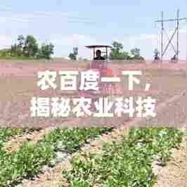 农百度一下,揭秘农业科技的无限潜力与奥秘探索