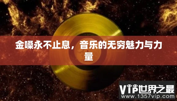 金嗓永不止息,音乐的无穷魅力与力量