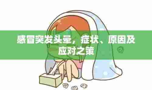 感冒突发头晕，症状、原因及应对之策