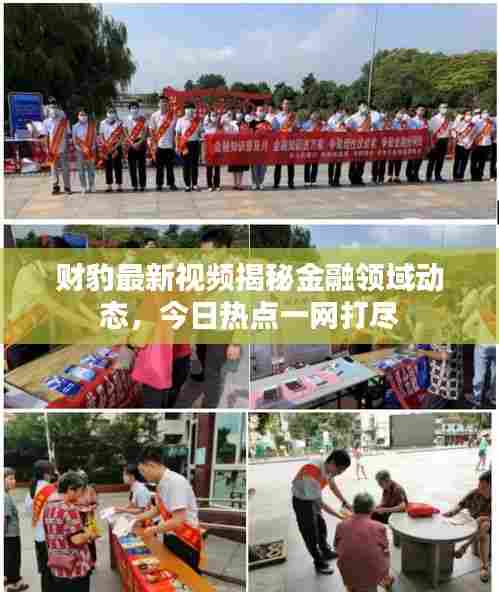 财豹最新视频揭秘金融领域动态,今日热点一网打尽