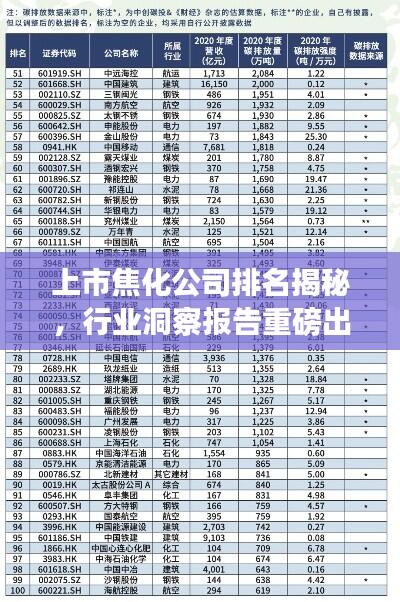 上市焦化公司排名揭秘，行业洞察报告重磅出炉！