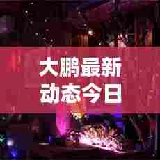 大鹏最新动态今日揭晓