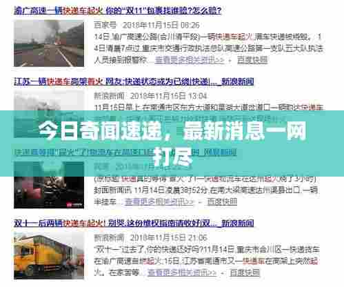 今日奇闻速递，最新消息一网打尽