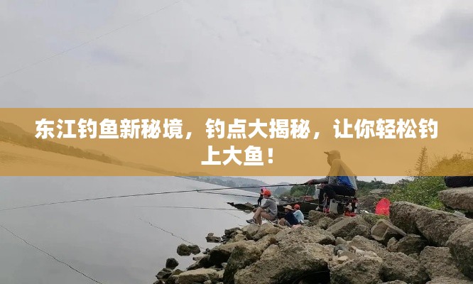东江钓鱼新秘境，钓点大揭秘，让你轻松钓上大鱼！