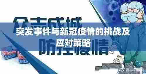 突发事件与新冠疫情的挑战及应对策略