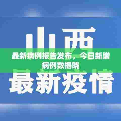 最新病例报告发布，今日新增病例数揭晓