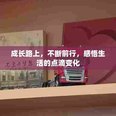 成长路上，不断前行，感悟生活的点滴变化