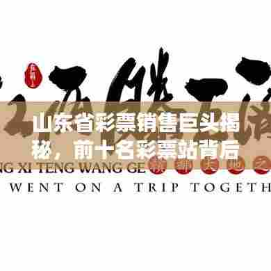 山东省彩票销售巨头揭秘，前十名彩票站背后的故事一网打尽！