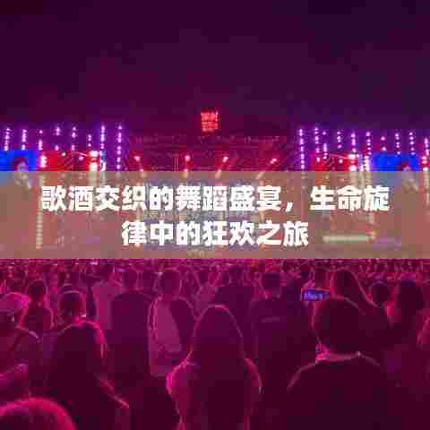 歌酒交织的舞蹈盛宴,生命旋律中的狂欢之旅