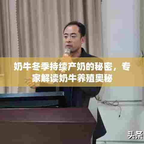 落土飞岩 第6页