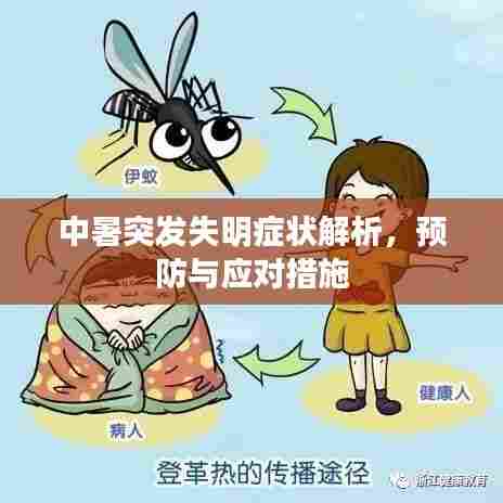 中暑突发失明症状解析,预防与应对措施
