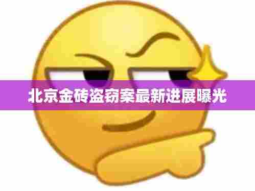 北京金砖盗窃案最新进展曝光