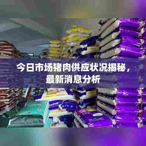 今日市场猪肉供应状况揭秘，最新消息分析