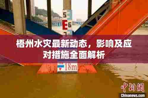 梧州水灾最新动态，影响及应对措施全面解析