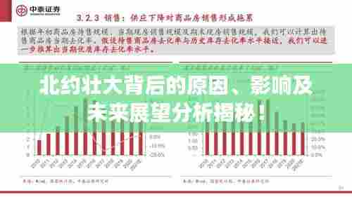 北约壮大背后的原因、影响及未来展望分析揭秘！