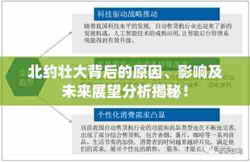 北约壮大背后的原因、影响及未来展望分析揭秘!