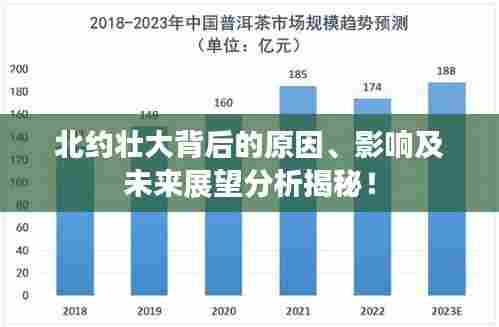 北约壮大背后的原因、影响及未来展望分析揭秘!