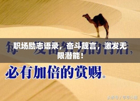 职场励志语录,奋斗箴言,激发无限潜能!