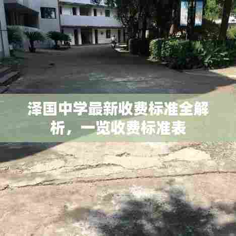 泽国中学最新收费标准全解析，一览收费标准表