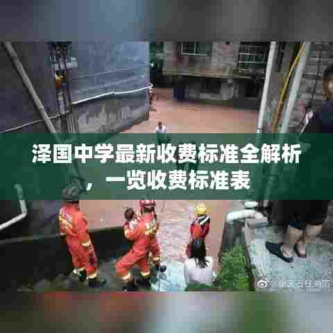 泽国中学最新收费标准全解析,一览收费标准表