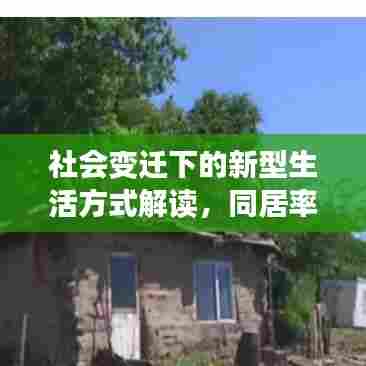 社会变迁下的新型生活方式解读，同居率持续上升现象探讨