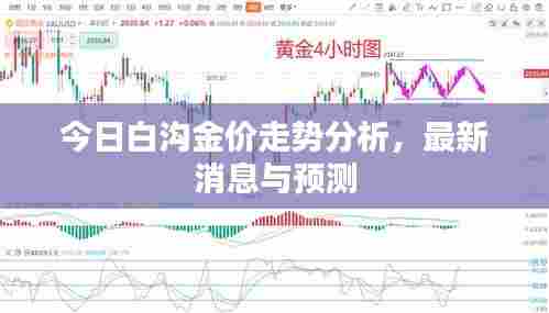 今日白沟金价走势分析，最新消息与预测