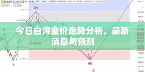 今日白沟金价走势分析,最新消息与预测