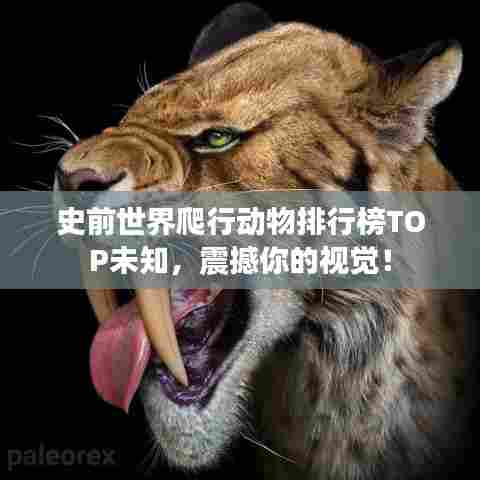 史前世界爬行动物排行榜TOP未知,震撼你的视觉!