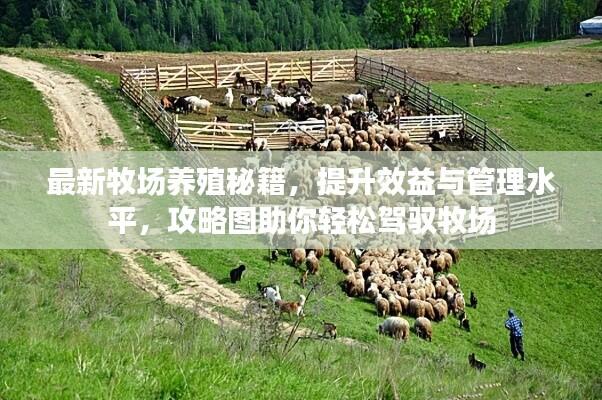 最新牧场养殖秘籍,提升效益与管理水平,攻略图助你轻松驾驭牧场