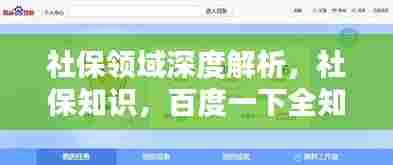 社保领域深度解析,社保知识,百度一下全知道