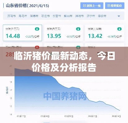 临沂猪价最新动态,今日价格及分析报告