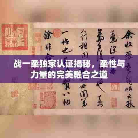 战一柔独家认证揭秘，柔性与力量的完美融合之道