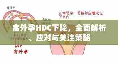 宫外孕HDC下降，全面解析、应对与关注策略