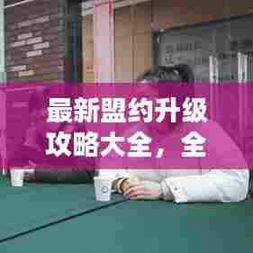 最新盟约升级攻略大全,全面解析9.0版本盟约升级秘籍!