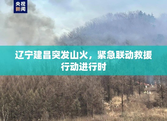 辽宁建昌突发山火,紧急联动救援行动进行时