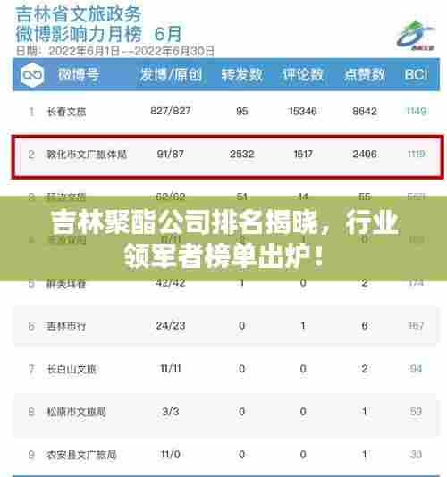 吉林聚酯公司排名揭晓，行业领军者榜单出炉！