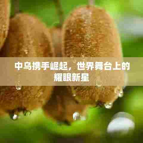 中乌携手崛起，世界舞台上的耀眼新星