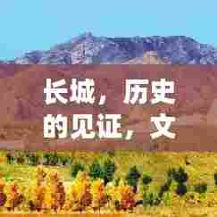 长城,历史的见证,文化的传承脉络