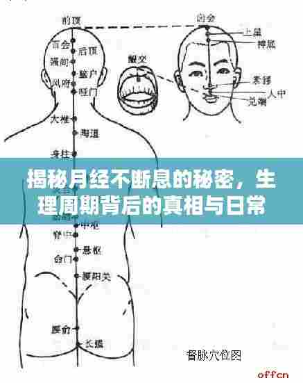 揭秘月经不断息的秘密,生理周期背后的真相与日常护理技巧