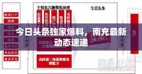 今日头条独家爆料,南充最新动态速递